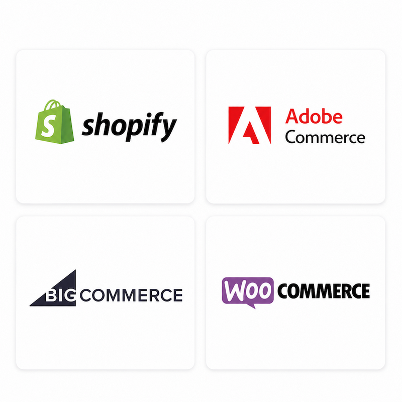 eCommerce Platform Experience